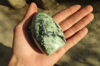 Polished Leopard stone Standing Free Forms  x 6 From Inyanga, Zimbabwe