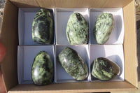 Polished Leopard stone Standing Free Forms  x 6 From Inyanga, Zimbabwe