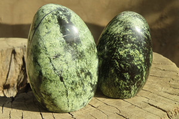 Polished Leopard stone Standing Free Forms  x 6 From Inyanga, Zimbabwe