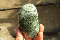 Polished Leopard stone Standing Free Forms  x 6 From Inyanga, Zimbabwe