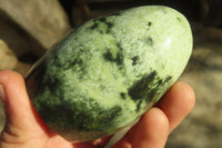 Polished Leopard stone Standing Free Forms  x 6 From Inyanga, Zimbabwe