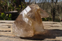 Natural Large Smokey Quartz Crystals x 2 From Mulanje, Malawi