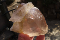 Natural Large Smokey Quartz Crystals x 2 From Mulanje, Malawi