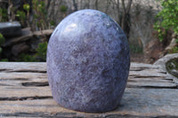 Polished Purple Lepidolite Free Forms  x 3 From Madagascar