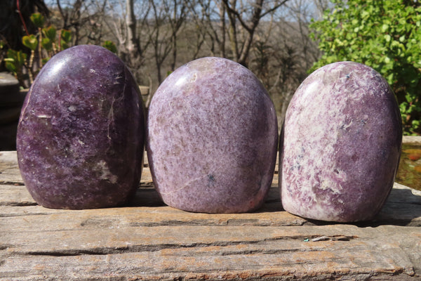 Polished Purple Lepidolite Free Forms  x 3 From Madagascar