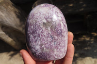 Polished Purple Lepidolite Free Forms  x 3 From Madagascar