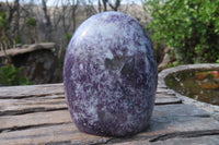 Polished Purple Lepidolite Free Forms  x 3 From Madagascar