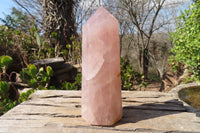 Polished Large Rose Quartz Point x 1 From Madagascar