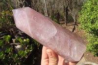 Polished Large Rose Quartz Point x 1 From Madagascar