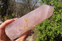 Polished Large Rose Quartz Point x 1 From Madagascar