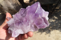 Natural Jacaranda Amethyst Clusters x 2 From Mumbwe, Zambia