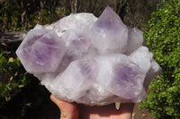 Natural Jacaranda Amethyst Clusters x 2 From Mumbwe, Zambia