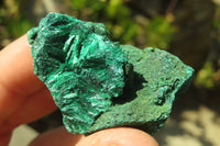 Natural Chatoyant Silky Malachite Specimens  x 12 From Kasompe, Congo