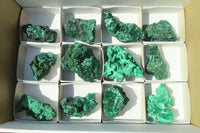 Natural Chatoyant Silky Malachite Specimens  x 12 From Kasompe, Congo