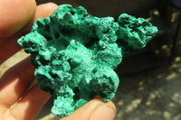 Natural Chatoyant Silky Malachite Specimens  x 12 From Kasompe, Congo