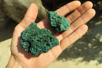 Natural Chatoyant Silky Malachite Specimens  x 12 From Kasompe, Congo