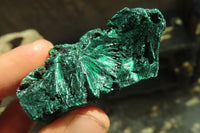 Natural Chatoyant Silky Malachite Specimens  x 12 From Kasompe, Congo