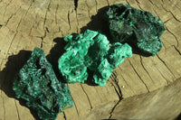 Natural Chatoyant Silky Malachite Specimens  x 12 From Kasompe, Congo