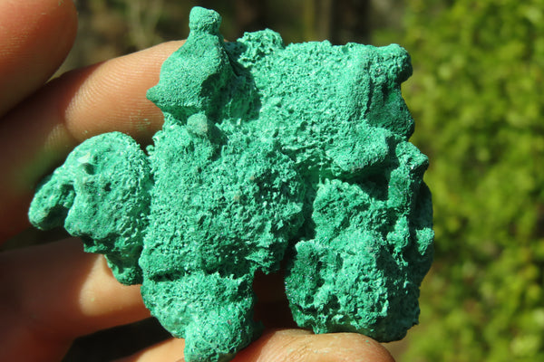 Natural Chatoyant Silky Malachite Specimens  x 12 From Kasompe, Congo