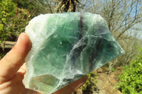 Polished One Side Polished Watermelon Fluorite Pieces  x 3 From Uis, Namibia