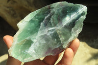 Polished One Side Polished Watermelon Fluorite Pieces  x 3 From Uis, Namibia