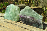 Polished One Side Polished Watermelon Fluorite Pieces  x 3 From Uis, Namibia