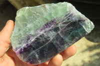 Polished One Side Polished Watermelon Fluorite Pieces  x 3 From Uis, Namibia