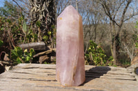 Polished Rose Quartz Points x 3 From Madagascar