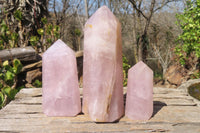 Polished Rose Quartz Points x 3 From Madagascar