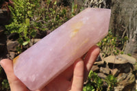 Polished Rose Quartz Points x 3 From Madagascar