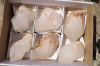 Natural Candle Quartz Crystal Point Specimens x 6 From Madagascar