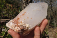 Natural Candle Quartz Crystal Point Specimens x 6 From Madagascar