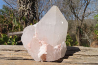 Natural Candle Quartz Crystal Point Specimens x 6 From Madagascar