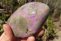 Polished Purple Stichtite Standing Free Forms x 2 From Barberton, South Africa