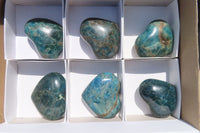 Polished Blue Apatite Hearts  x 6 From Madagascar