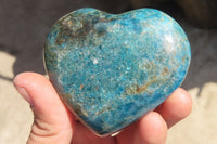 Polished Blue Apatite Hearts  x 6 From Madagascar