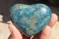 Polished Blue Apatite Hearts  x 6 From Madagascar