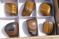 Polished Golden Tigers Eye Free Forms x 6 From Prieska, South Africa