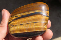 Polished Golden Tigers Eye Free Forms x 6 From Prieska, South Africa