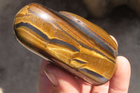 Polished Golden Tigers Eye Free Forms x 6 From Prieska, South Africa