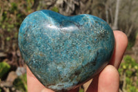 Polished Blue Apatite Hearts  x 6 From Madagascar