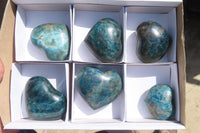 Polished Blue Apatite Hearts  x 6 From Madagascar