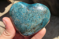 Polished Blue Apatite Hearts  x 6 From Madagascar