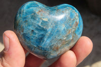 Polished Blue Apatite Hearts  x 6 From Madagascar