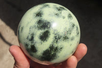 Polished Leopard stone Spheres  x 2 From Inyanga, Zimbabwe