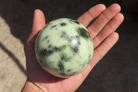 Polished Leopard stone Spheres  x 2 From Inyanga, Zimbabwe