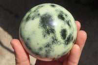 Polished Leopard stone Spheres  x 2 From Inyanga, Zimbabwe