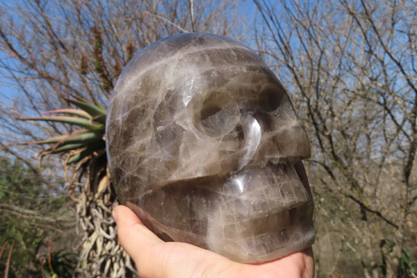 Polished Large Smokey Quartz Skull Carving  x 1 From Madagascar