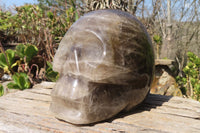 Polished Large Smokey Quartz Skull Carving  x 1 From Madagascar