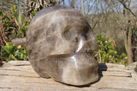 Polished Large Smokey Quartz Skull Carving  x 1 From Madagascar